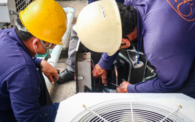 Why Service Businesses That Automate First Win Their Local Market