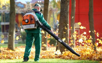 The Simple System Top Service Businesses Use to Stay Fully Booked Year-Round