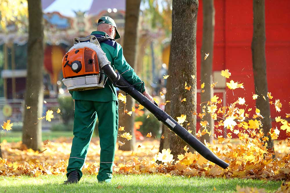 The Simple System Top Service Businesses Use to Stay Fully Booked Year-Round